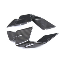 Alerones Modificados de Fibra de Carbono Real de Alta Calidad para Motocicleta BMW S1000RR 2023+ M1000RR