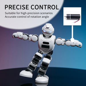 Motorreductor Planetario de Alta Calidad con Garantía, 24v 60mm 200kg 20Nm, Alto Torque, Baja Velocidad, 30W 138W, Motor Personalizado, Precio de Fábrica - Product Image 4