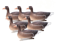 Décoys de chasse personnalisés en EVA léger pour la chasse en extérieur au Canada, leurres pliables et flottants pour oies et canards