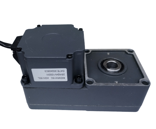 Dc Brush Brushless Ac Motor 40w 60w 90w 120w 150w 180w 200w 250w 750w with GL Type Reducer Gearbox