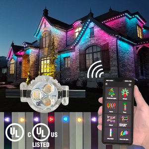 Customized Logo Led Pixel 12V Point <b>Light</b> Source Outdoor Waterproof <b>Christmas</b> <b>Light</b> Rgbw Led Permanent <b>Christmas</b> Lighting - Product Image 6