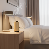 Diffuseur de parfum pour voiture en alliage d'aluminium, bouteille de 10 ml, humidificateur à brume douce, diffuseur d'air pour voiture, machine à parfum pour la maison, diffuseur d'arômes pour l'hygiène