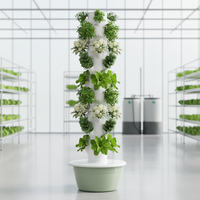Tour hydroponique verticale BC Spacetree, système de culture de légumes intelligent pour la maison, culture sans sol, machine de plantation, aéroponie, plastique, USB