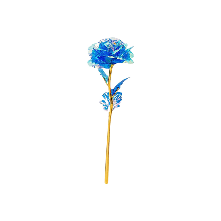Bleu 1