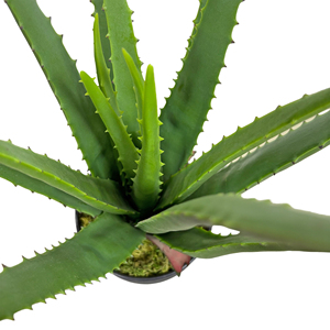Factory Wholesale 47cm Artificial Green Bonsai <strong>Plant</strong> Artificial Aloe Vera Leaves <strong>Plant</strong> for Home Garden Decoration - Product Image 4