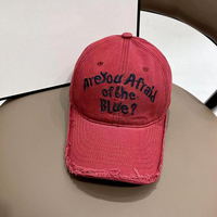 Casquette de baseball brodée personnalisée OEM, style vintage délavé, visière usée, ajustée, style Dad Cap, mode Hip Hop, unisexe, vente en gros