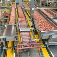 Ligne de Production de Jus, Confiture et Boissons à Base de Carotte, Pomme, Fraise, Tomate, Poire