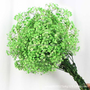 プリザーブドベビーブレスカラフルな結婚式の装飾プリザーブドジプソフィラと植物乾燥ベビーブレスフラワー - Product Image 6