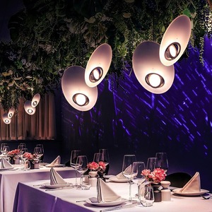 Lámpara de Techo de Diseño Nórdico para Restaurante de Hotel, Estilo Vía Láctea, OVNI, Luna, Ambiente Cobre, para Sala de Exposiciones - Product Image 4