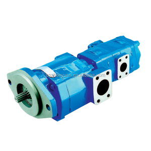 Remplacer la pompe à engrenages hydraulique PGP517A0230CD1H3NP3P2B1B1 3339111193 par 3319520001 PGP500 PGM500 PGP502 PGP505 PGP511 PGM511 PGP517 - Product Image 5