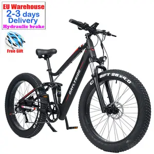 High Quality Professional Electric Bicycle Full Suspension Ebike Mountain 750W 1000w Fat Tire Electric Mountain Bike