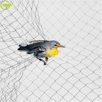 Filets anti-oiseaux de qualité supérieure 4m x 15m pour moineaux et cailles