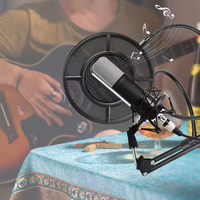 Microphone de studio portable sans fil omnidirectionnel léger et réglable avec filtre anti-pop à condensateur pour ordinateur de bureau