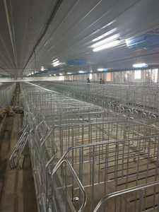 กรงใส่สัตว์สำหรับการตั้งครรภ์ที่มีที่ออกแบบมาสำหรับหมูท้องแต่ละตัว - Product Image 2