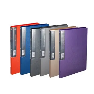 Professional OEM/ODM Manufacturer office stationery plastic file folders with clip