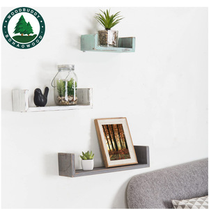 Woodbuddy Solid Wood <b>Wall</b> Shelf Rectangle <b>Floating</b> <b>Shelves</b> For Living Room Indoor Plant Book Display - Product Image 2