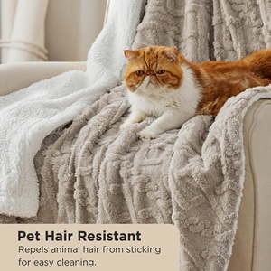 Bindi floue doux confortable Beige couverture jeter Pet chat sauge <span class=keywords><strong>vert</strong></span> polaire couvertures jette pour canapé canapé-<span class=keywords><strong>lit</strong></span> - Product Image 2