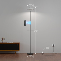Projecteur d'étoiles RGB moderne, lumières d'aurore, RGBIC, gradation progressive, tête rotative, lampe de sol moderne pour salon