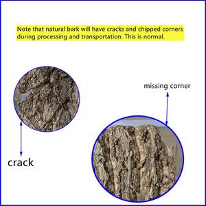 Corteza de champán de <span class=keywords><strong>corcho</strong></span> virgen natural se utiliza para acuario pecera paisajismo paisaje/reptil <span class=keywords><strong>caja</strong></span> decoración hábitat y refugio - Product Image 6