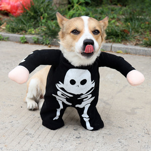 Disfraz Luminoso de Calavera para Mascotas, Ideal para Sesiones de Fotos, Venta al Por Mayor - Product Image 1
