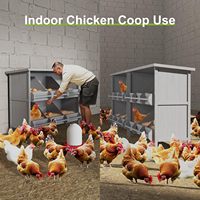 Nichoirs de poulet en bois à 2 niveaux: Boîtes de ponte à 6 compartiments avec perchoir, boîte à œufs en bois massif pour poules, canards (1 paquet)
