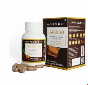 Extrait de plante naturelle Capsules d'Arjuna Utilisation quotidienne Capsules d'extrait d'Arjuna Herbes pures Capsules d'extrait d'Arjuna à base de plantes Complément alimentaire - Product Image 1