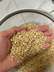 Linda WS 0084989322607 riz brun jasmin moyen Calrose Arroz 1kg 5kg sacs sous vide vente entière doux séché Riz jasmin moyen - Product Image 3