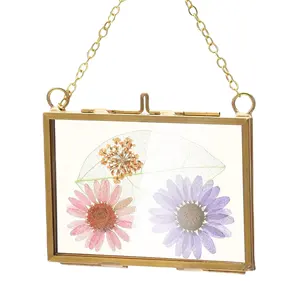 Glass crafts Pressed Flowers 3.5 x 2.5 Inch, Double Floating Picture Frames Brass Hanging Photo Frame with Chain Wall Decor