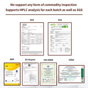 Extracto Nutricional <span class=keywords><strong>de</strong></span> Hongos Orgánicos USDA EU 10 en 1 en Polvo, Extracto <span class=keywords><strong>de</strong></span> Hongos Complejo: Melena <span class=keywords><strong>de</strong></span> León, Reishi, Cola <span class=keywords><strong>de</strong></span> Pavo - Product Image 3