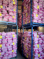 Verse pure witte knoflook groenten groothandelsprijs Optimum merk gaas zakken Top kwaliteit nieuwste oogst geëxporteerd Shandong China