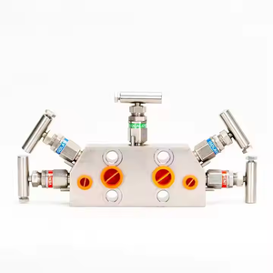 Прямая Продажа с фабрики Emerson Rosemounts 304 обычный коллектор с 305/304/306 манометрами - Product Image 3