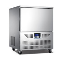 3 5 10 15 20 30 Plateaux Plug-In Blast Freezer -40 °C Freeze Auto Defrost High Quality for Meat Seafood Bakery Fruit Use