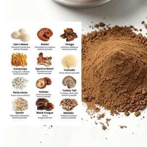 Marca Privada 100% Fructífero 10 en 1 Mezcla Orgánica de Reishi, Cordyceps, Melena de León y Chaga Extracto de Hongos en Polvo Venta al por Mayor a Granel - Product Image 1