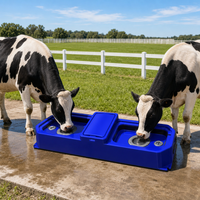 Abreuvoir chauffant double réservoir de 1,7 m en PE rotomoulé 1700D pour veaux et moutons