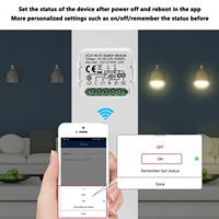 Module de commutateur WiFi intelligent SLS 2 Gang Tuya Module de relais de fil N + L avec commutateurs de télécommande de capacité 10A pour système de maison intelligente