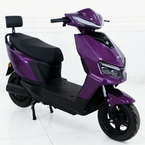 Scooter électrique à succès en Inde, roue monobloc de 10 pouces, suspension intégrale, prix CKD, moto électrique 1000W - Product Image 1