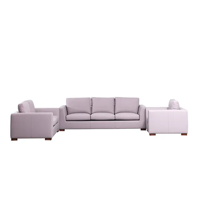 Lounge Suite Sofa Set Living Room Furniture Modern Sectional Live 3seater Combination Family Sofas With Single Sofa