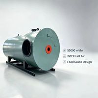 Four horizontal industriel automatique à air chaud, compatible biogaz, mazout lourd, diesel, mazout léger, gaz de combustion, avec surveillance à distance, en acier inoxydable