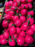 Jouet à presser en blocs de construction en forme de fruits simulés, avec bruit croquant, non toxique, fraise et raisin, anti-stress