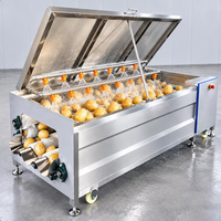 Commerciële wortelgewaswasser, borstel en schiller voor het reinigen van aardappel, gember, wortel, yam en taro.