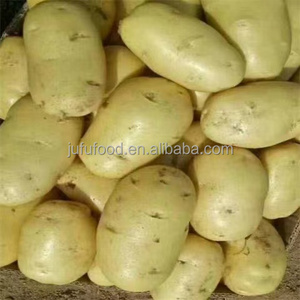 Pommes <span class=keywords><strong>de</strong></span> <span class=keywords><strong>terre</strong></span> russettes biologiques fraîches du Shandong, 7 cm, vente en gros - Product Image 3