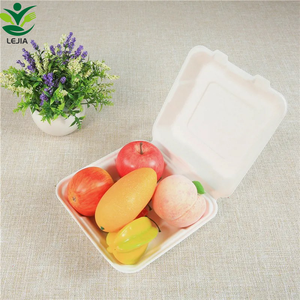 El mejor precio, 8 pulgadas, desechable, caña de azúcar, bagazo, pulpa, Concha, el mejor contenedor de comida para llevar, fiambreras de papel - Product Image 5