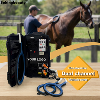 Appareil de thérapie PEMF portable populaire pour chevaux, pour la récupération des blessures sportives, dispositif de soin magnétique PEMF pour clinique vétérinaire