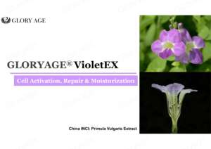 วัตถุดิบทางเคมีสารสกัดจาก Primula vulgaris สำหรับทำผลิตภัณฑ์อินทรีย์และอินทรีย์เครื่องสำอาง - Product Image 3