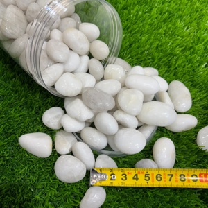 1kg Ciottoli <span class=keywords><strong>Bianchi</strong></span> Lucidi Decorativi del Fiume Yangtze <span class=keywords><strong>per</strong></span> Acquario, Vaso di Fiori, Paesaggistica, Riempitivo <span class=keywords><strong>per</strong></span> <span class=keywords><strong>Vasi</strong></span>, Decorazione da Giardino - Product Image 5