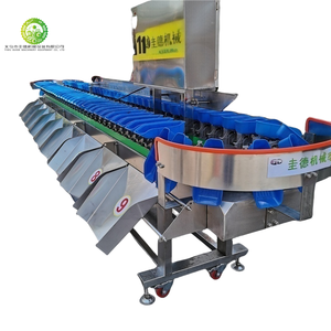 Máquina clasificadora de clasificación comercial Aguacate Tomate Manzana Mango Melón Máquina clasificadora de tamaño de patata - Product Image 1