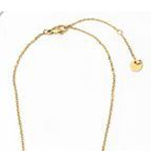 Collar de Acero Inoxidable Capricornio con Colgante de Diamante para Mujer, Joyería de Moda - Product Image 4