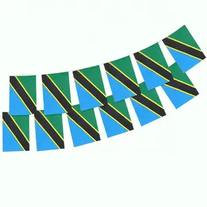 Promotional Polyester Material 14*21 Tanzania String Flag Tanzania Hanging Flags Decorated Bunting Flag Custom