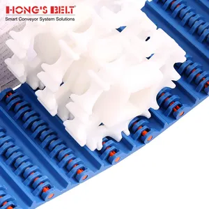 Hongsbelt Băng Tải Dạng Mô-đun Băng Tải Mặt Phẳng Chạy Thẳng Băng Tải Mô-đun