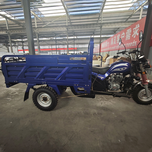 Promotion 2026 : <span class=keywords><strong>Moto</strong></span>-tricycle utilitaire à essence 3 roues, capacité de charge 400 kg, 150 cm³ - Product Image 2